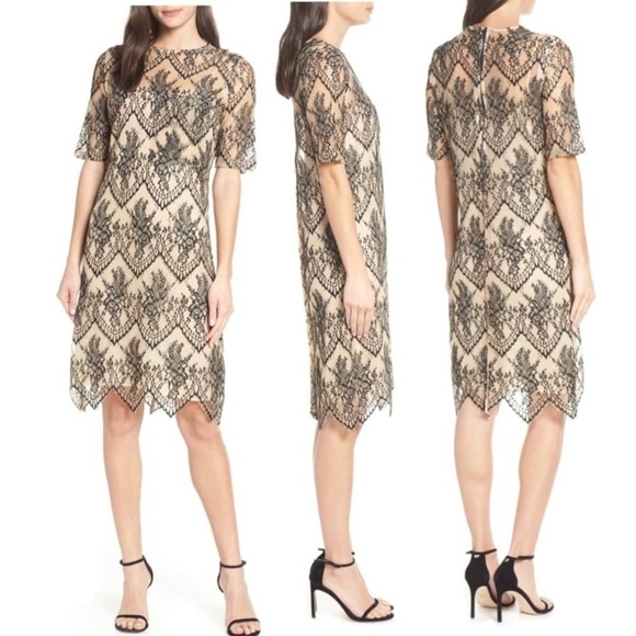 CAARA Dresses & Skirts - CAARA Nordstrom Scallopd Lace Shift Dress Black Beige Holiday Party Wedding Sz M